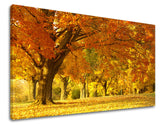 Wall painting TREES Discount 60 % 30X40 cm